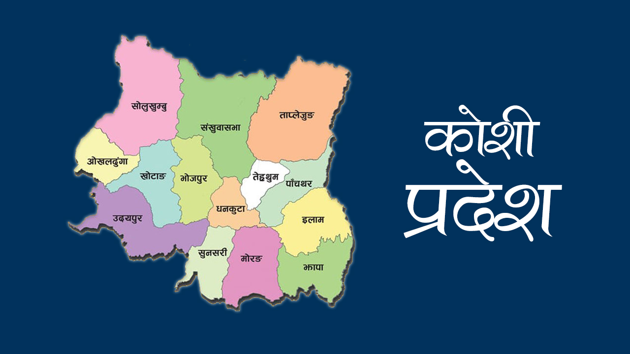 कोशी प्रदेशमा अधिकांश सिमेन्ट उद्योग बन्द