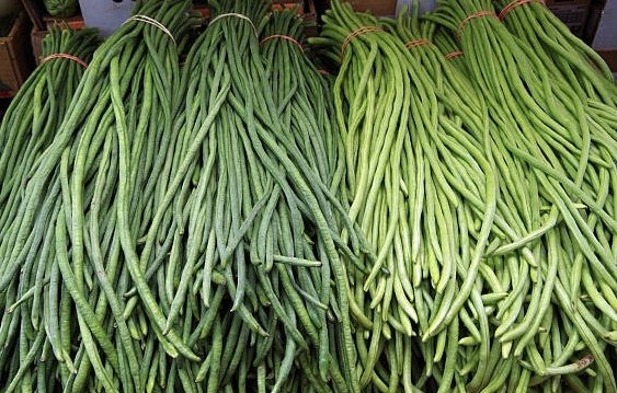 एक सातामा तने बोडीको भाउ ५७ प्रतिशतले वृद्धि