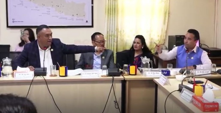 संसदीय समितिमा एक्लै भिडे रास्वपा सांसद पराजुली, भिजिट भिसा प्रकरणमा सांसदबीच चर्काचर्की